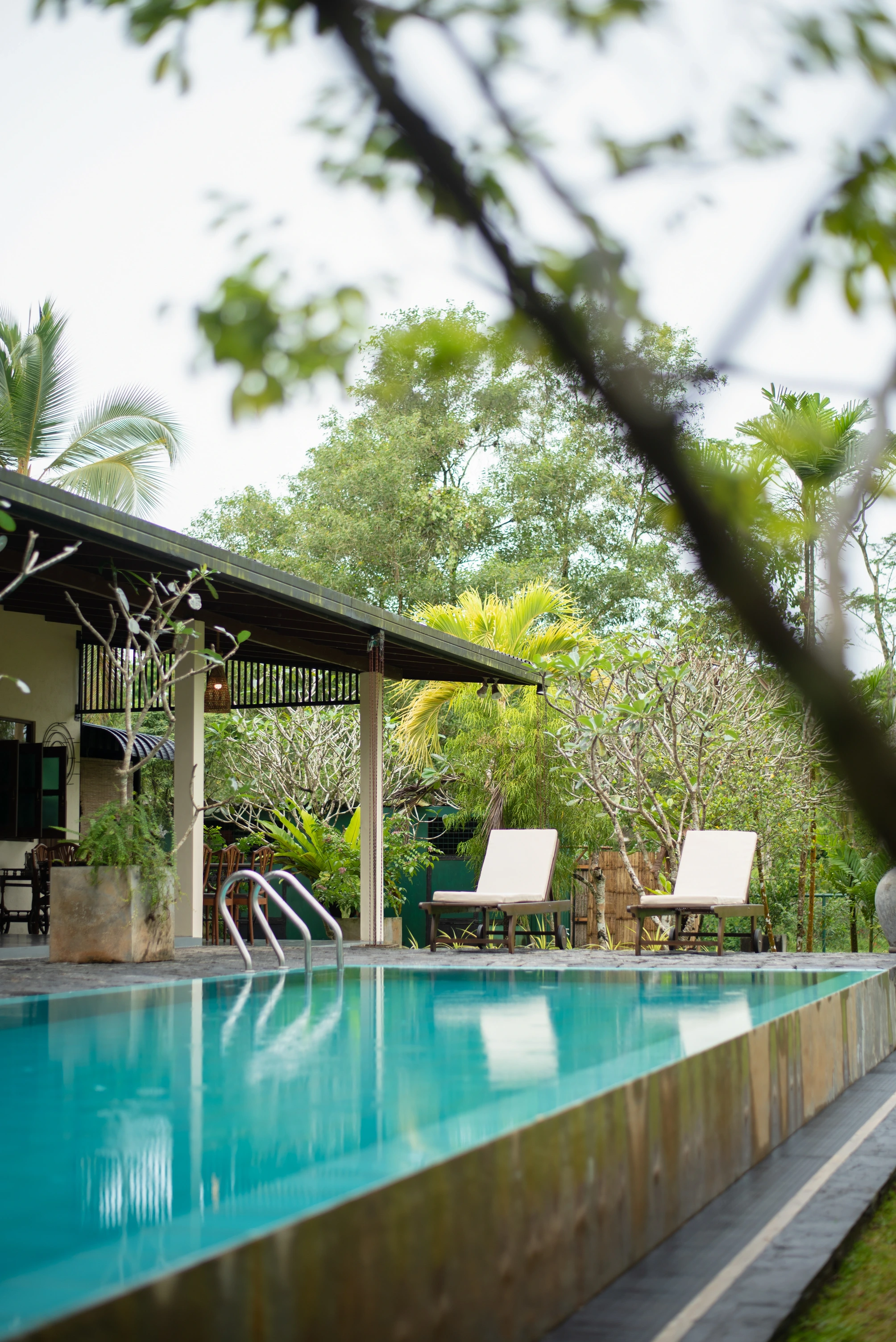 Swimming pool surrounded by lush green trees