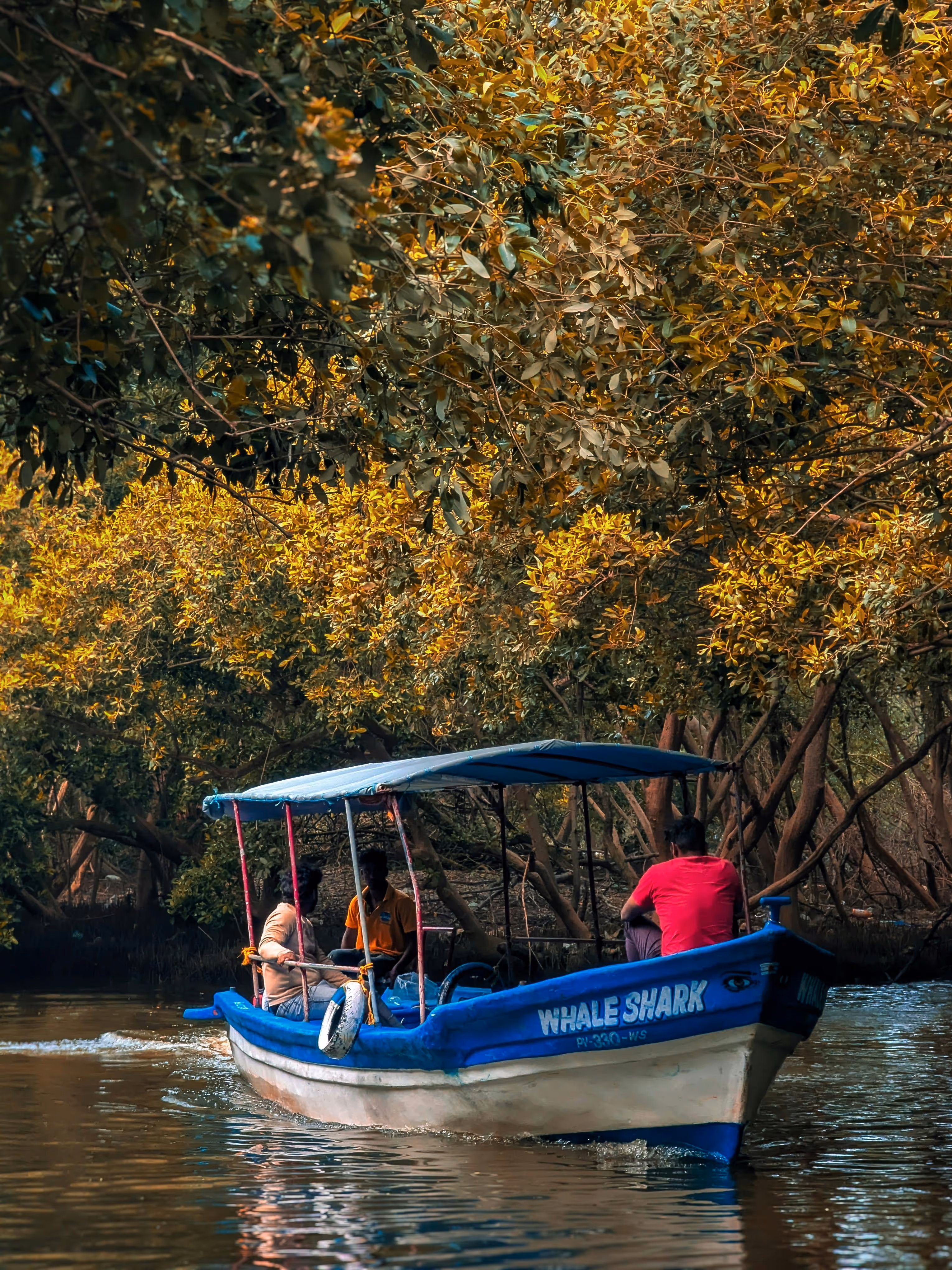 Boat ride on the river surrounded by lush trees